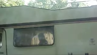 Vėžį tempia padavėja.