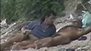 Sugauti Juoda Gaidžiai, Pūlingas Ir Asilas.