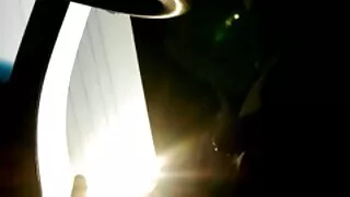 Lilka Sušikti Gražus Asilas.